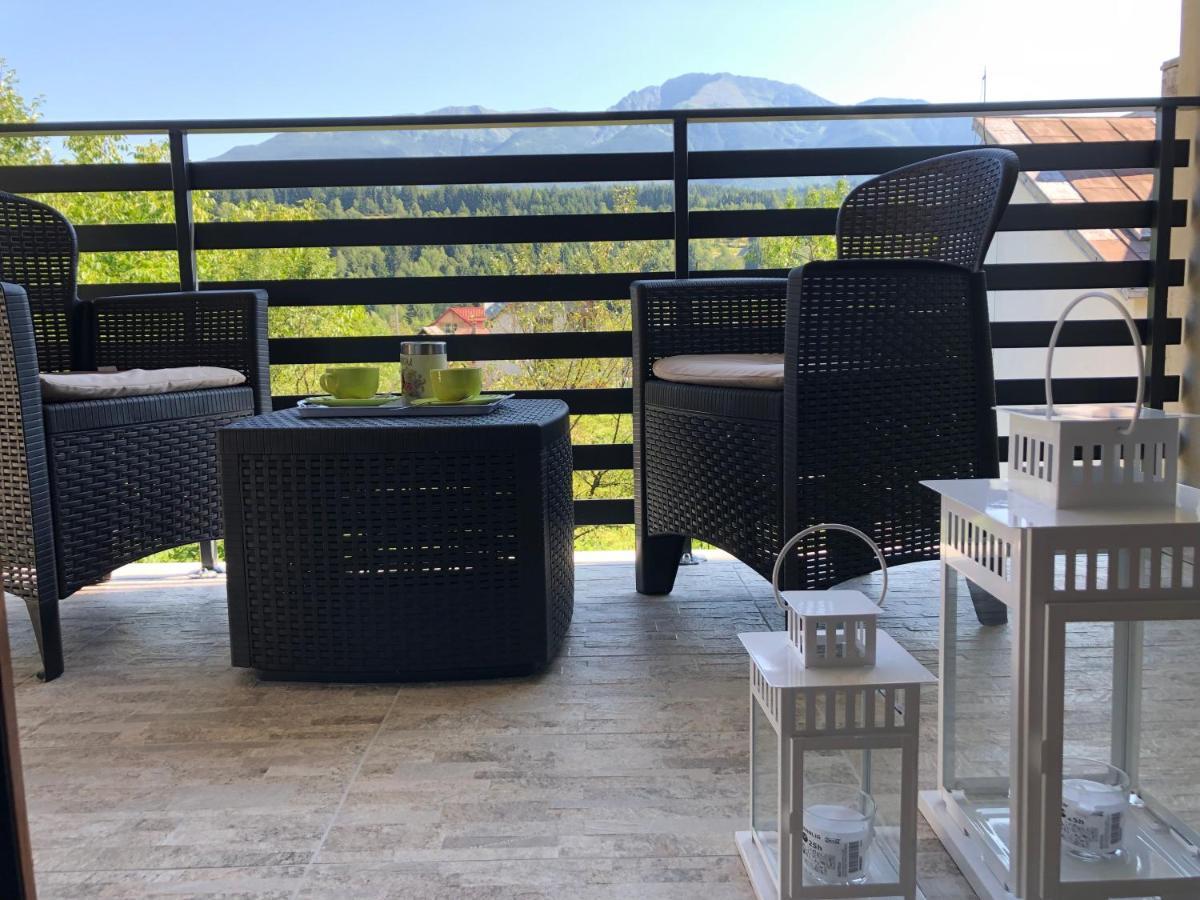 Villa Maya Borşa Exteriér fotografie