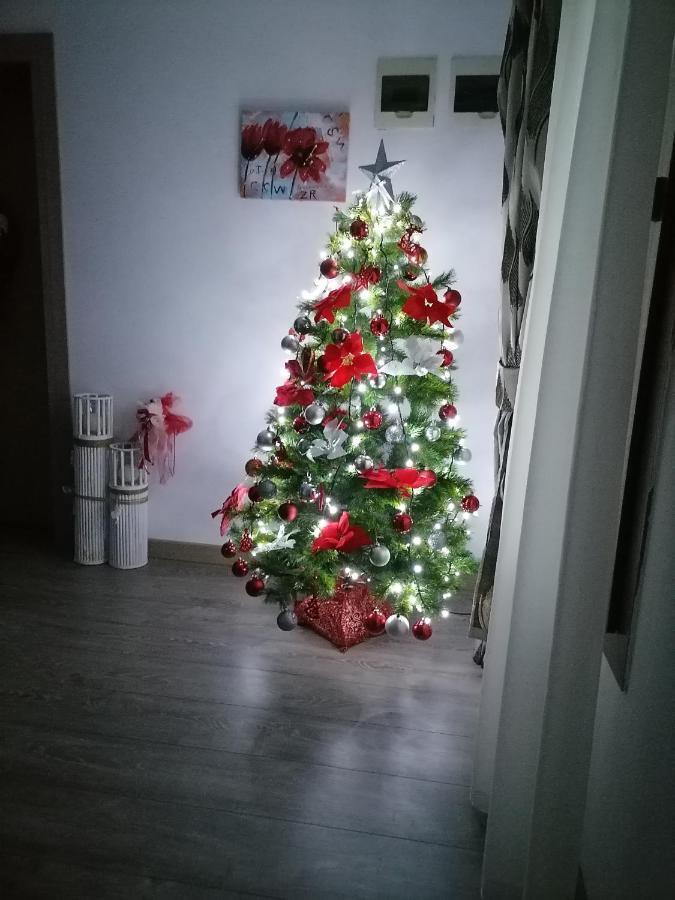 Villa Maya Borşa Exteriér fotografie