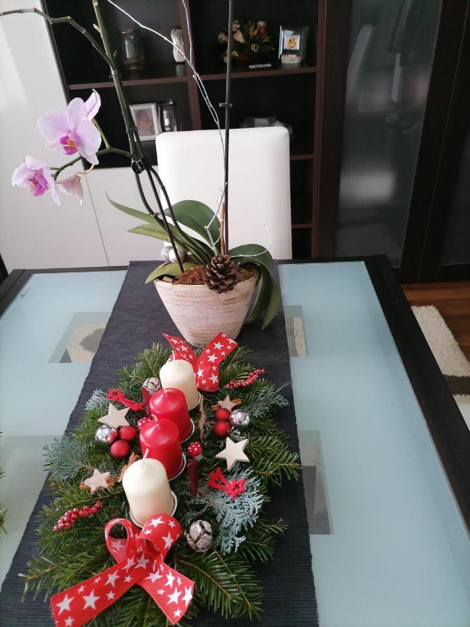 Villa Maya Borşa Exteriér fotografie